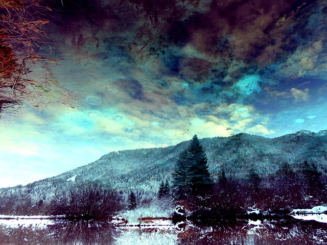 Free Forest Lake photo and picture