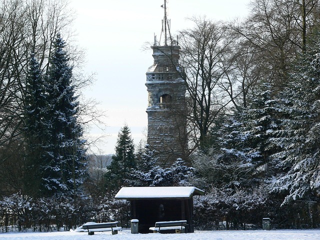 Free Winter Forest Snow photo and picture