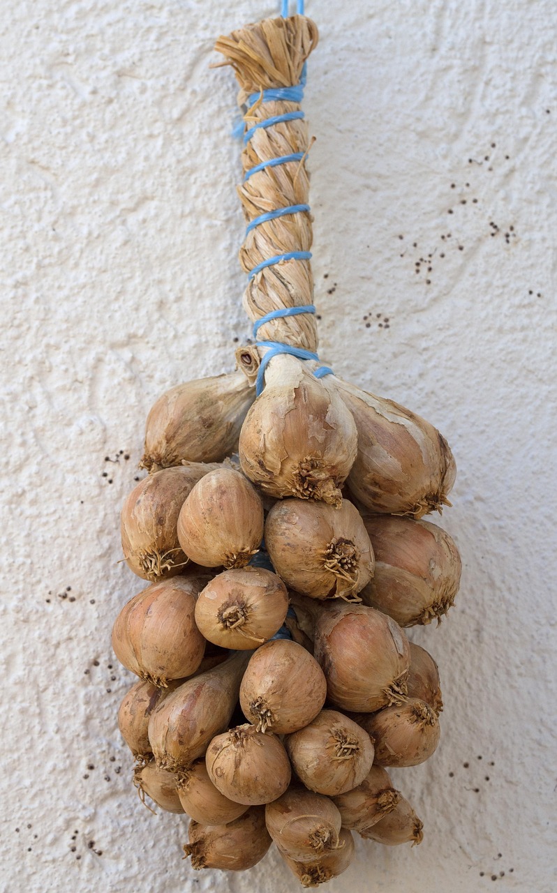 Onion Braid Seasoning Free photo on Pixabay Pixabay