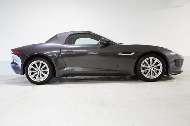 Free Jaguar F-Type photo and picture