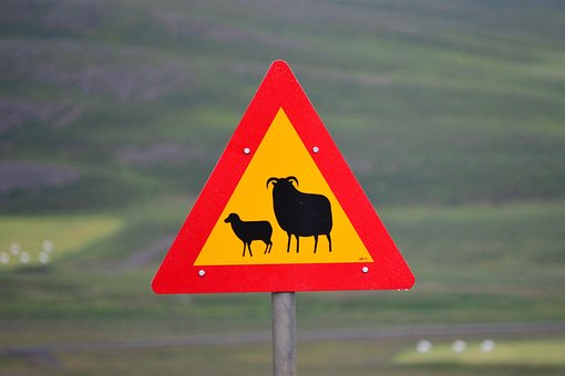 Free Signal Care photo and picture