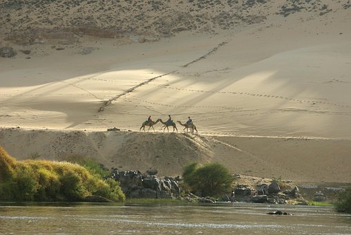 Desierto, Camellos, Caravana, Nilo