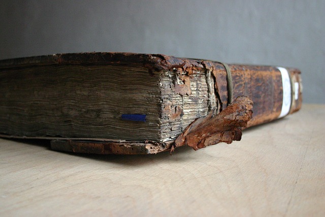 Free Bible Gutenberg photo and picture