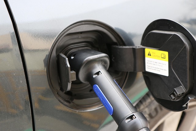 Free Electric Car Charging photo and picture