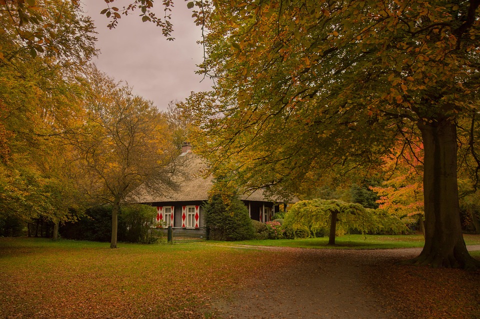 wald-haus-baum-kostenloses-foto-auf-pixabay