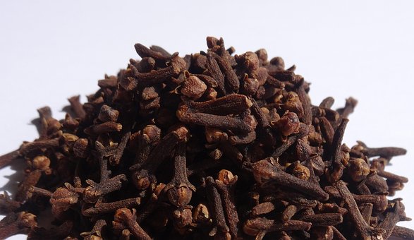 Free Cloves Spices photo and picture