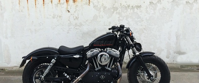 Free Motorbike Harley Davidson photo and picture