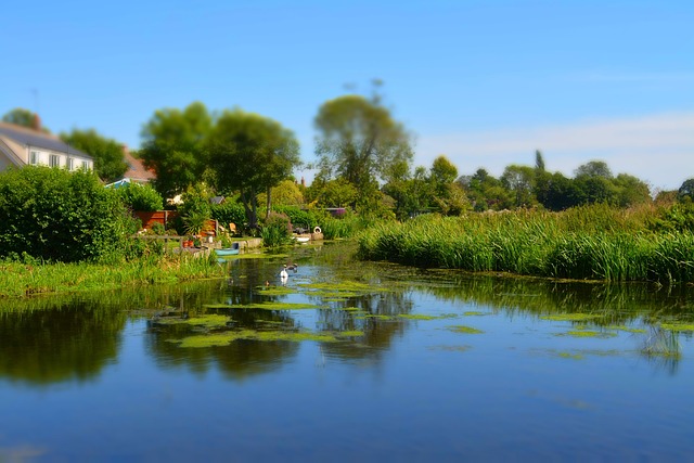 Rivier, Zomer, Toneel