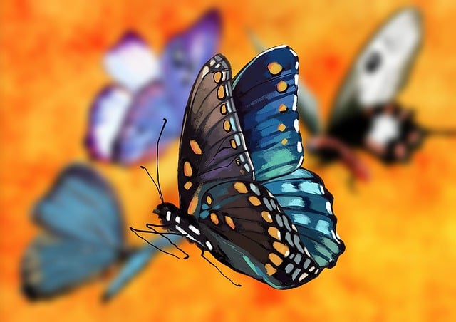 Free butterfly insect abstract illustration
