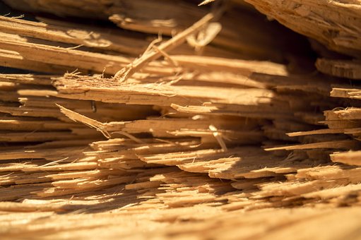 Free Wood Splinters photo and picture