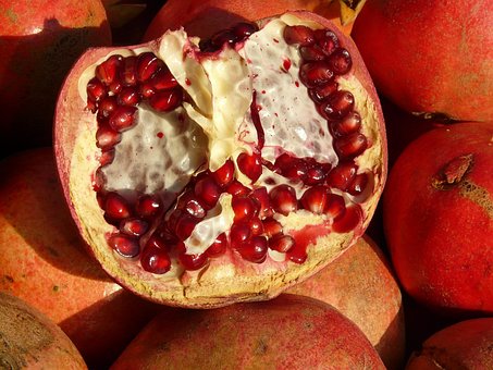 Free Pomegranate Fruit photo and picture
