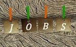 wood, background, clip