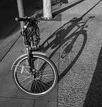 shadow, bycicle, street