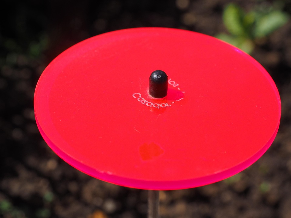 Gartendeko Neon gratis foto ljus catcher r 246 d ljus gartendeko gratis Gartendeko Neon gratis foto ljus catcher r 246 d ljus gartendeko gratis