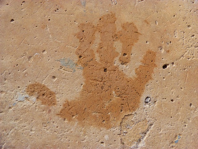 Free Fingerprint Nature photo and picture