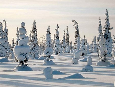 Free Winter Frost photo and picture