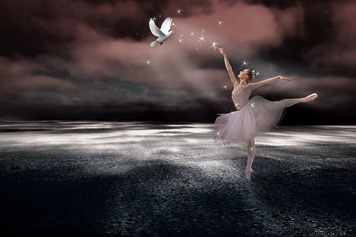 Free Christmas Dove illustration and picture