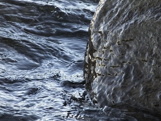 Free Water Sea photo and picture