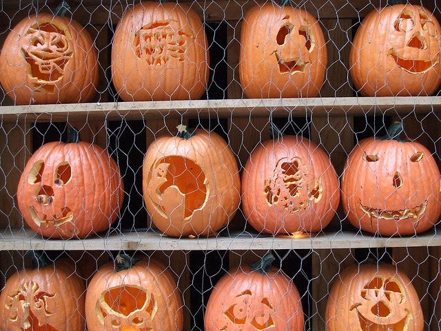 Kürbis, Partei, Halloween, Orange