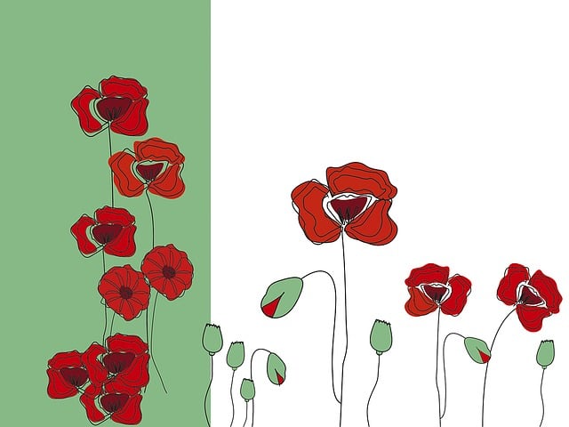 Free poppy blossom bloom illustration