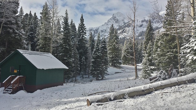 Free Winter Cabin photo and picture