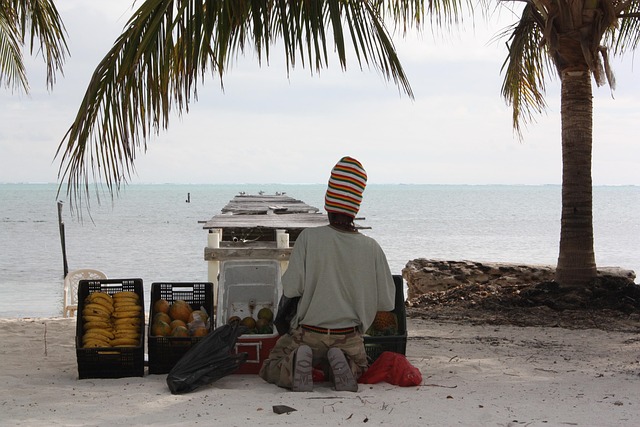 Free Beach Belize photo and picture
