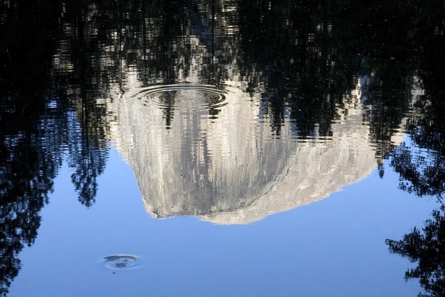 Reflexion, Wasser, Blau, Frisch, Teich
