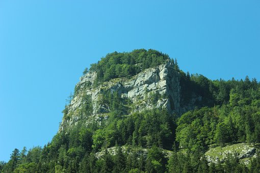 Free Rock Forest photo and picture