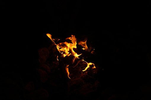 Free Fire Night photo and picture