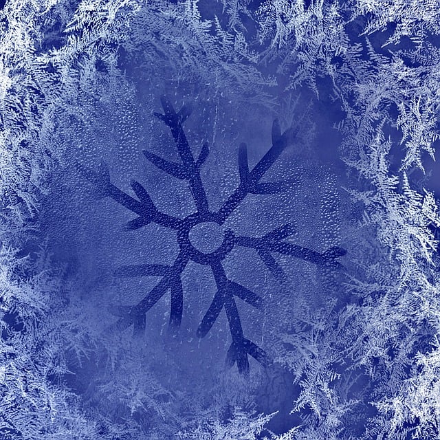 Free winter ice flowers frost illustration