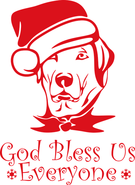 Cachorro, Papai Noel, Chapéu, Inverno