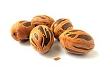 india coconut, muskat, nutmeg