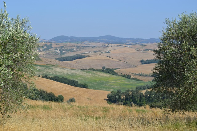 Free Tuscany The Cultivation Of photo and picture