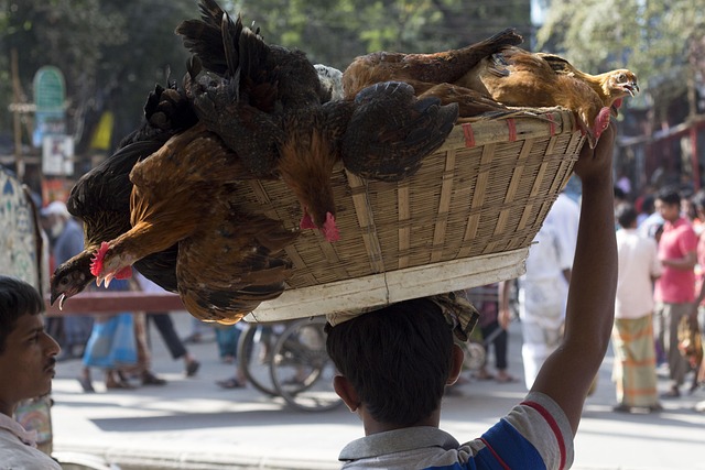 Free Dhaka Bangladesh photo and picture