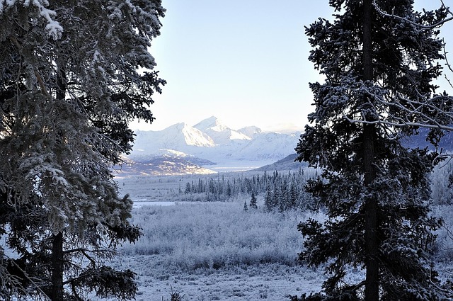 Free Mountain Landscape photo and picture