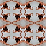 symmetry, gymnastics, gymnast