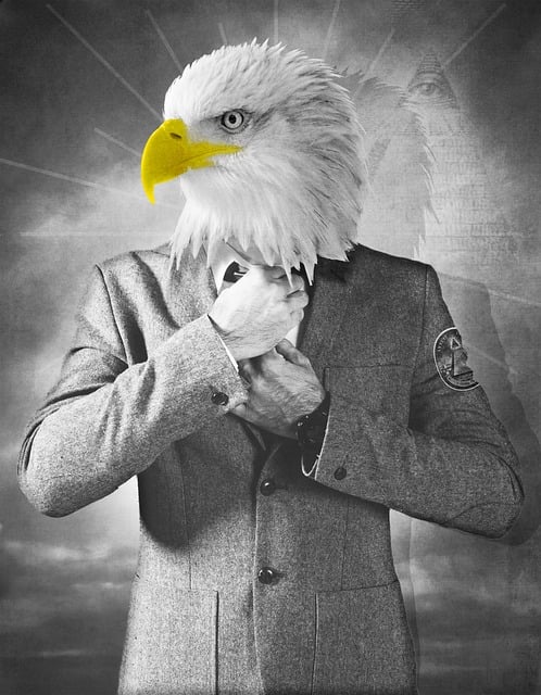 Free eagle illuminati conspiracy illustration