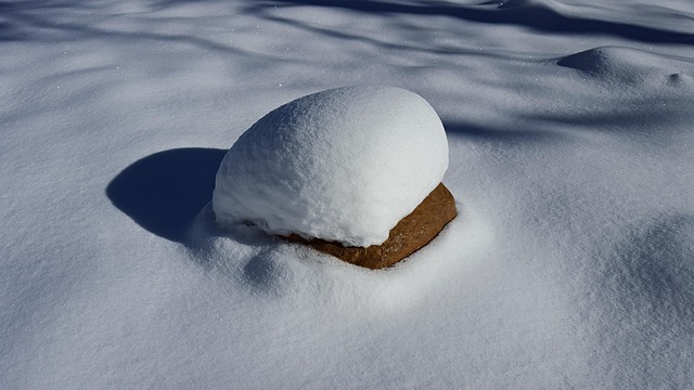 Free Snow Snow Scape photo and picture