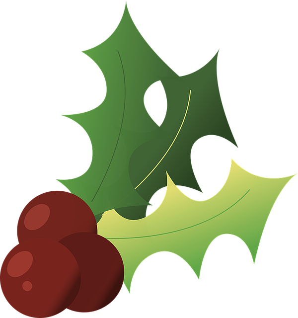 Cesmína, Vánoce, Zima, Vánoční Holly