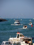 port, saint gilles croix de vie, sea
