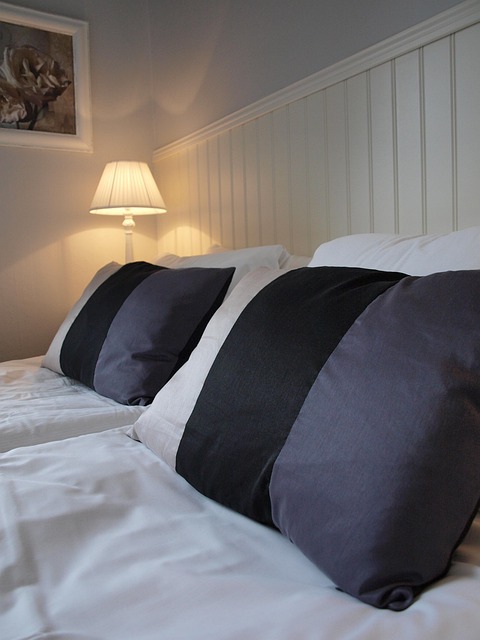 Free Cushions Hotel Room photo and picture