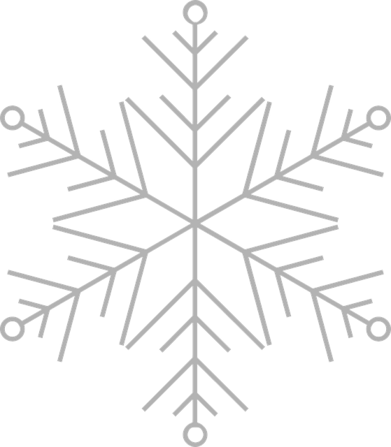 Free Snowflake Frost vector and picture