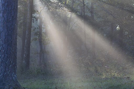Free Sun Light Sunshine photo and picture
