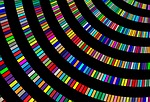 color, swinging, circle