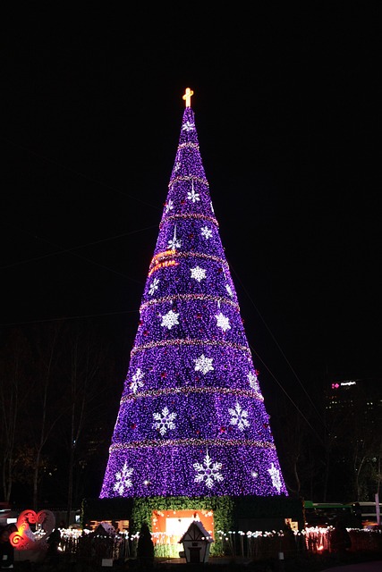 Free Christmas Night View photo and picture