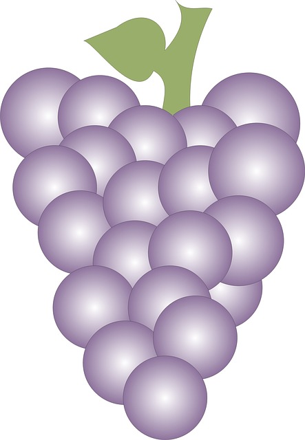 Free grapes fruit cluster illustration