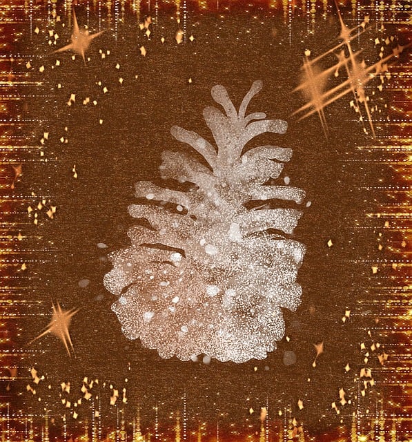 Free background fir tree christmas tree illustration