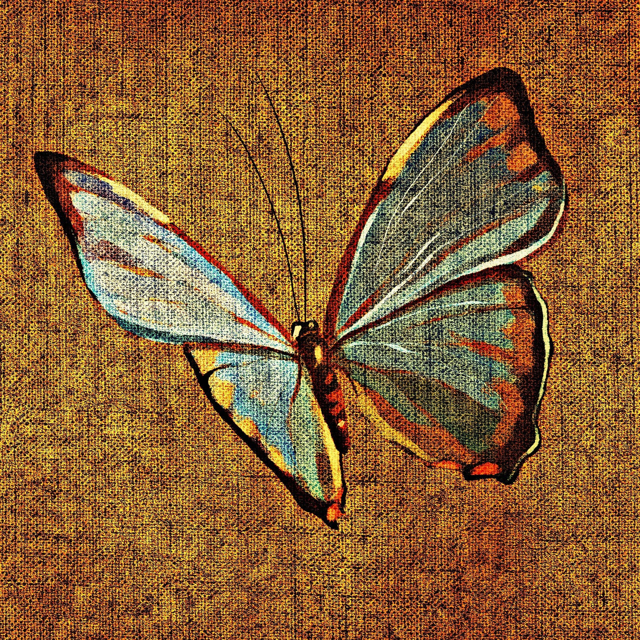 Download free HD stock image of Butterfly Tissue Free butterfly tissue structure illustration