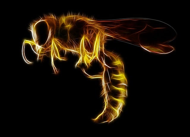Download free HD stock image of Wasp Insect Free wasp insect sting illustration