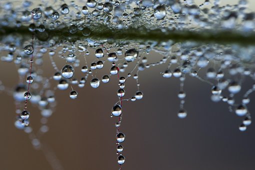 A Drop Of Water, The Dew, Pearl A Drop Of Water, The Dew, Pearl
